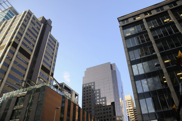 Fototapeta premium Calgary in Alberta Canada