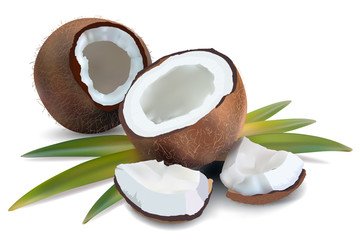 Coconut with leaves