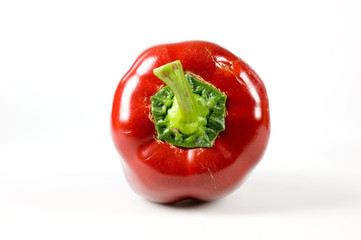 peperone rosso timido