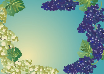 light and dark grapes frame