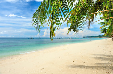 Beautiful beach with palm trees