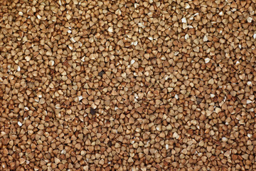 Processed grains of buckwheat as a background