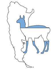 Guanako Argentinien