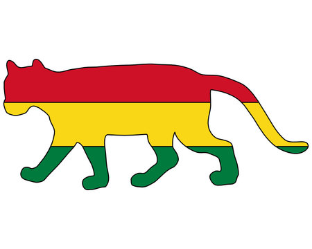Puma Bolivien