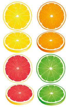 Set of Citrus fruits