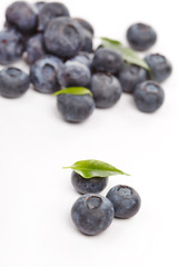 fresh blueberries