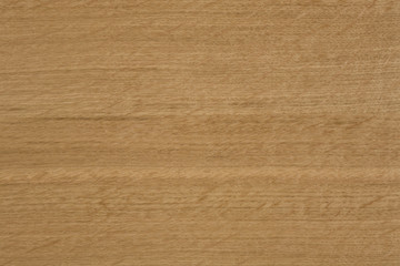 Naklejka premium holz