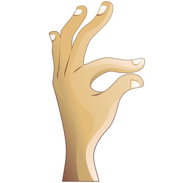 Mano-Hand-Main-Vector