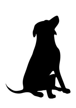 dog on a white background.vector image.