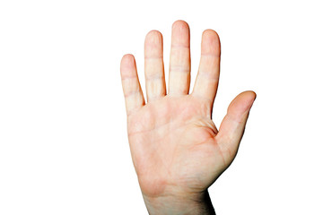 Flache Innenhand 034 hw