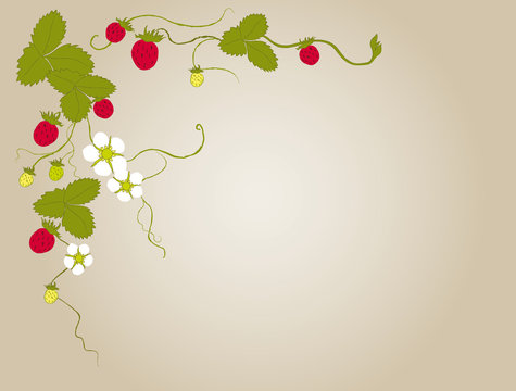 Walderdbeeren