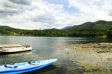 Fototapeta na wymiar Dutch Lake, Clearwater, British Columbia, Canada