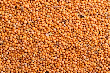 Mustard seeds background