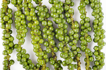 green pepper grain