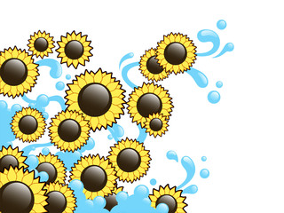 sunflowers abstract background