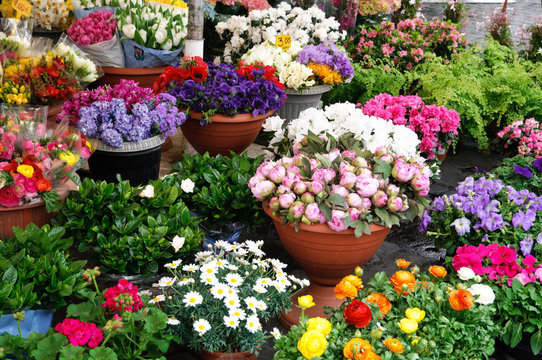 Negozio di fiori