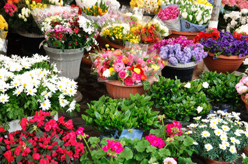 Naklejka premium Mercato dei fiori