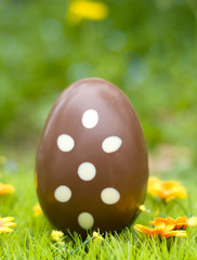 oeuf de pâques dans le jardin