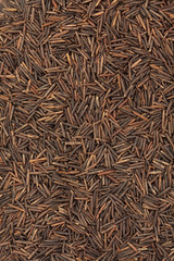Wild Rice