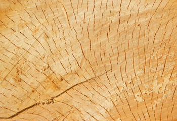 Fototapeta premium Stare tekstury drewna z bliska