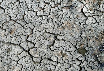 Damaged and very dry land