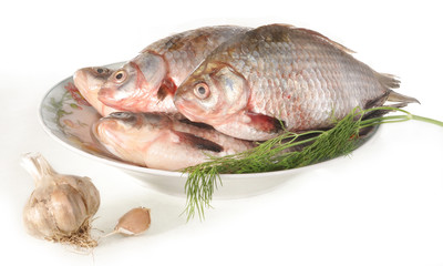 Fish on a plate.