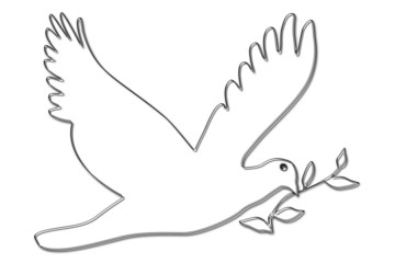 Naklejka premium Colomba e Ulivo