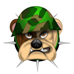 English Bull Dog Head with Army Helmet