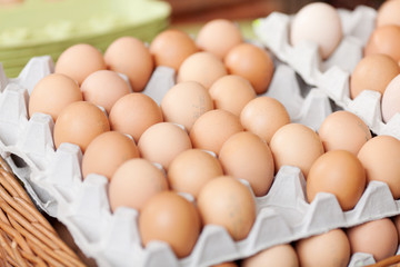 eier im karton