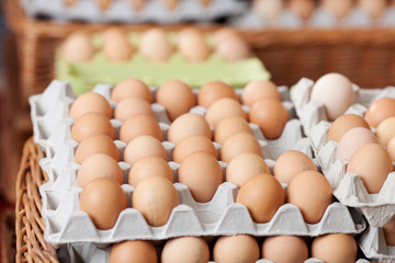 braune eier zu verkaufen