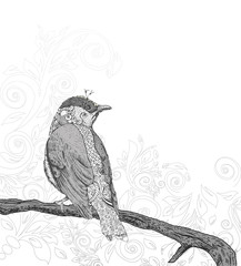 Fototapeta premium Hand Drawn Bird on Branch.