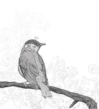 Fototapeta Ręcznie rysowane ptak na gałęzi.