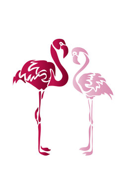 Фламинго/ flamingo