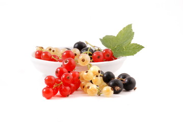 Johannisbeeren