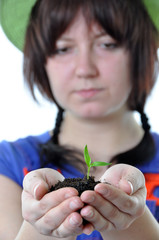 Gardener with plant in hands isolated