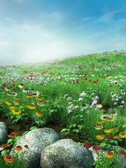 Obrazy na Szkle  Wiosenna sceneria z kwiatami i skałami