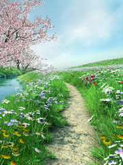 Obrazy na Szkle  Ścieżka nad rzeką na wiosennej łące