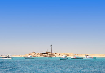 tropical beach landscape