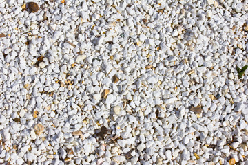 White rocks texture