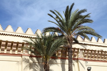 Street and palm in Marrakech, Morocco, Africa