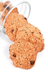 Oatmeal raisin cookies coming out of a glass jar on white