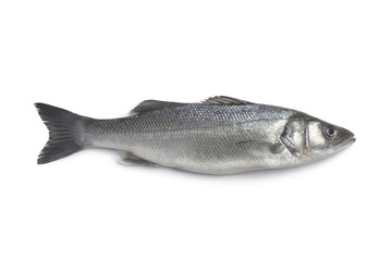 Whole single fresh sea bass