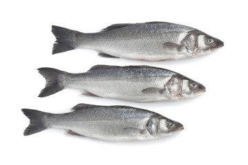Fresh raw sea bass
