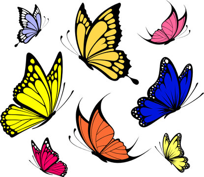 butterfly spring