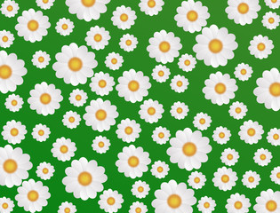 Daisy background