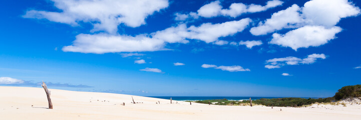 Henty Sand Dunes, West Coast Tasmania, Australia