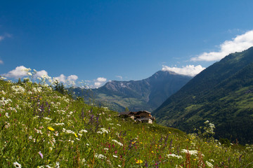 Bergpanorama