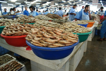 DUBAI FISH SOUK