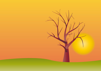 stylized tree in sunset