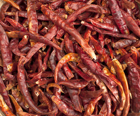 dried red hot chili